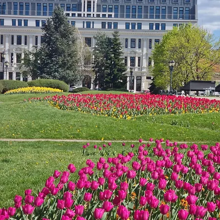 Appart - Feel Like صوفيا