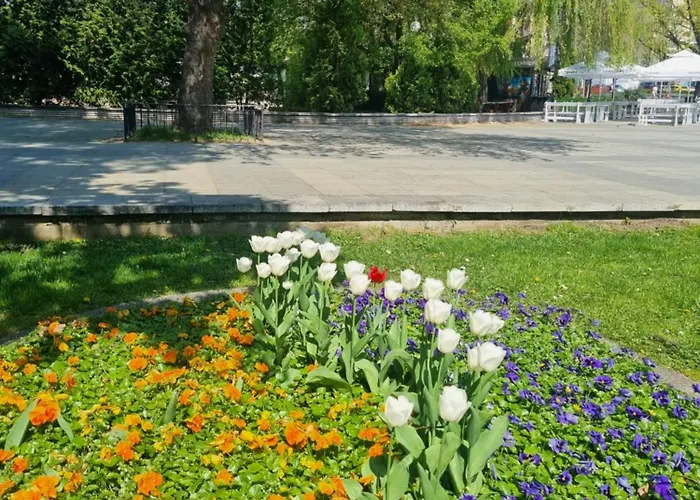 Appart - Feel Like Sofia