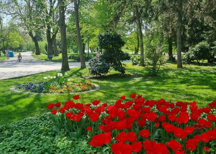 Appart - Feel Like Appartement