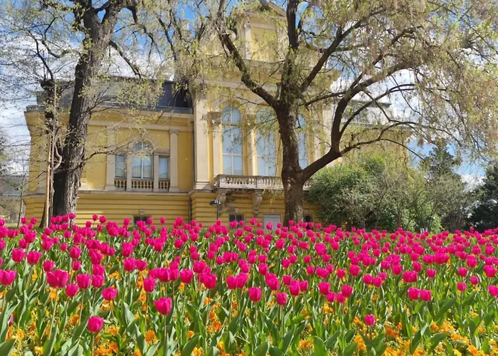 Appart - Feel Like Sofia