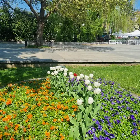 Appart - Feel Like Sófia