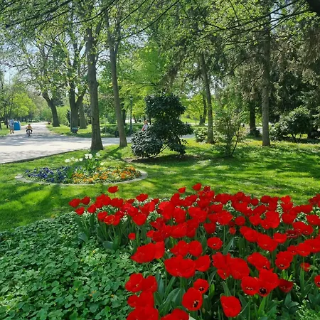 Appart - Feel Like Apartamento