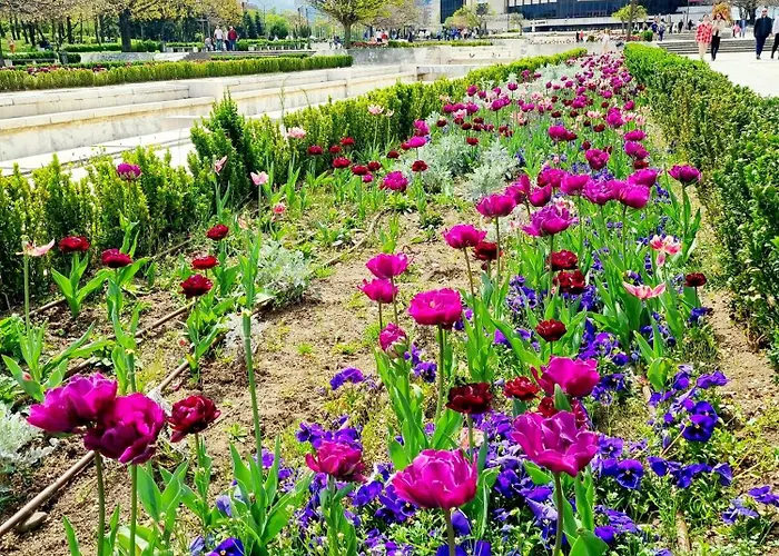 アパート Appart - Feel Like