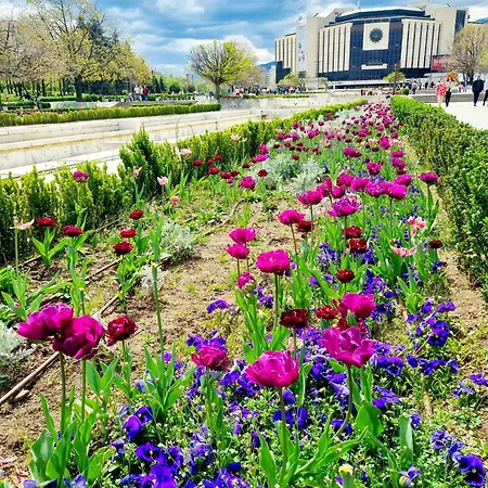 Apartment Appart - Feel Like