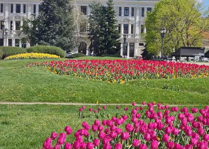 Appart - Feel Like Sofia